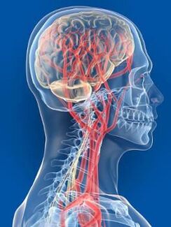 O abastecemento de sangue prexudicado ao cerebro é outra das causas da hipertensión